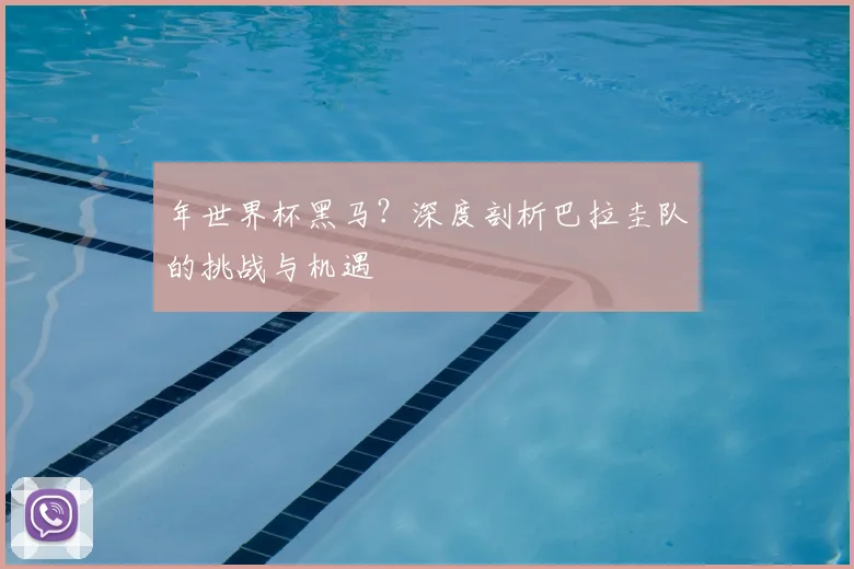 年世界杯黑马？深度剖析巴拉圭队的挑战与机遇