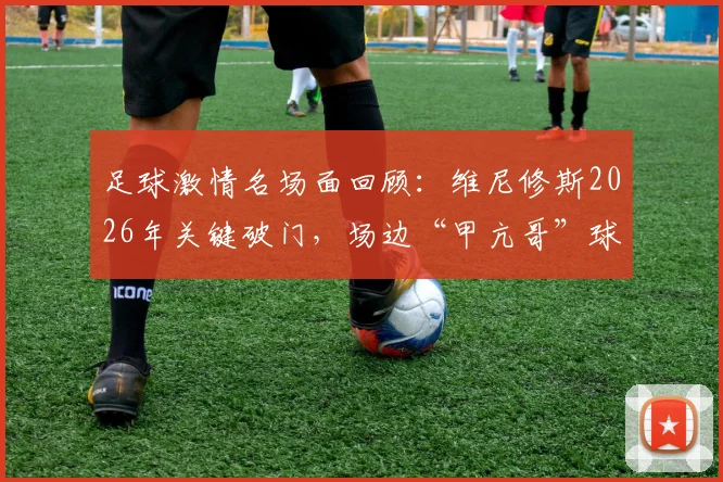 足球激情名场面回顾：维尼修斯2026年关键破门，场边“甲亢哥”球迷失控怒吼庆祝引爆网络