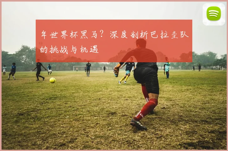 年世界杯黑马？深度剖析巴拉圭队的挑战与机遇