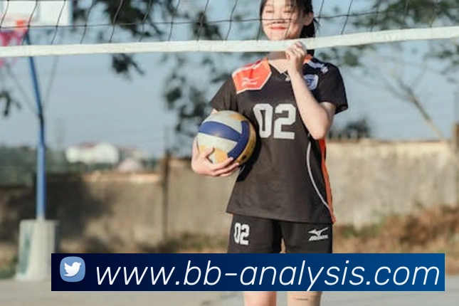 企业概况